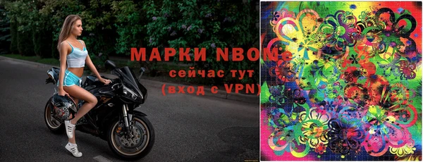 трава Гусь-Хрустальный