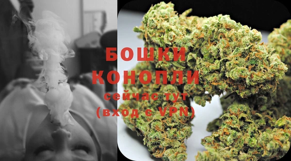 прущие крисы Горняк