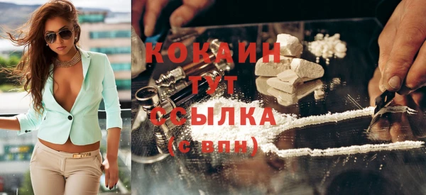 прущие крисы Горняк