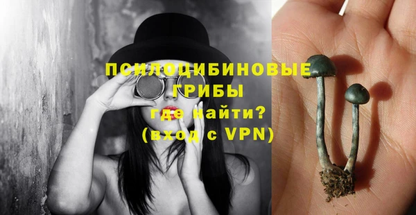 таблы Гусиноозёрск