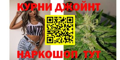 мяу мяу мука Гусь-Хрустальный