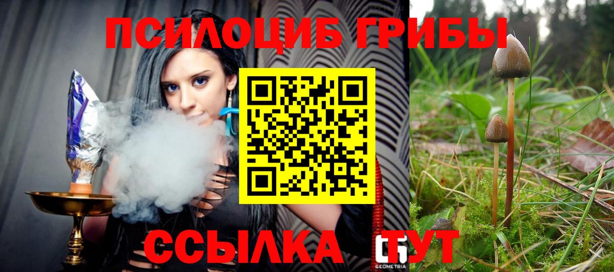 Галлюциногенные грибы GOLDEN TEACHER Гудермес