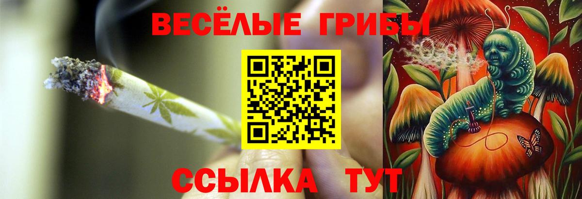 Гудермес  Псилоцибиновые грибы Psilocybine cubensis  Вход с VPN 